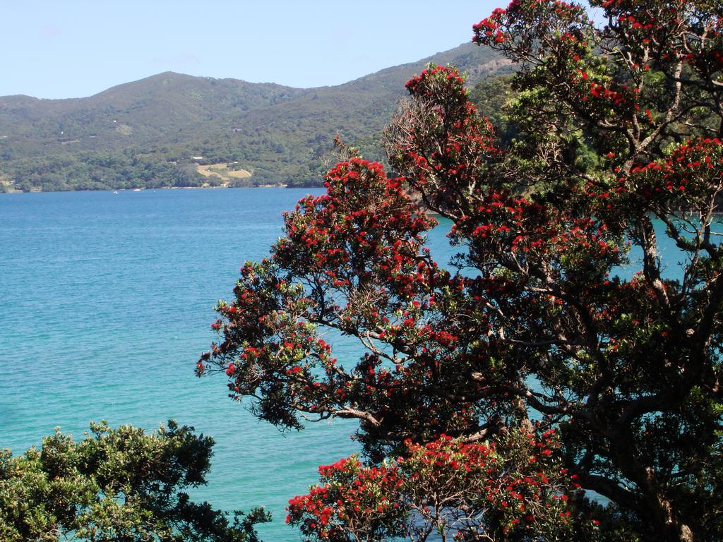 Manuka Lodge Tryphena Dış mekan fotoğraf